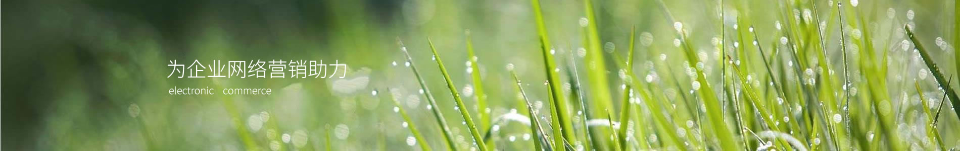 ϲŷɹƼ޹˾